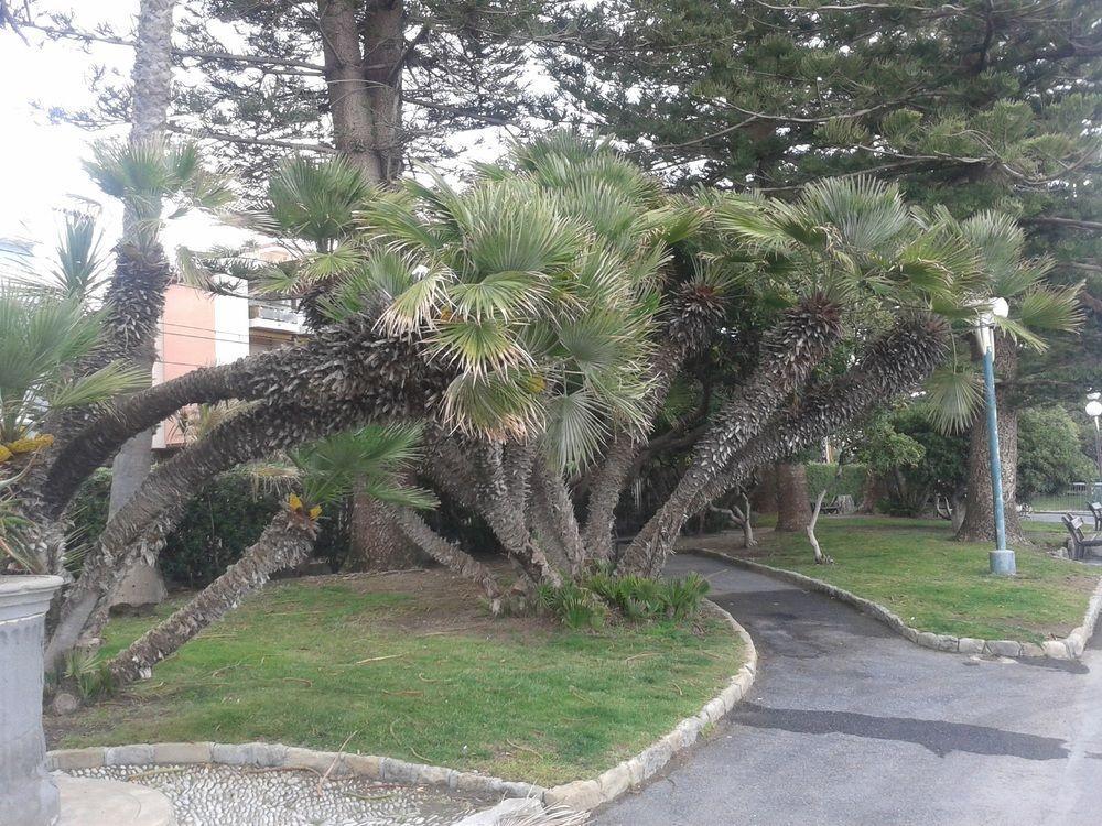 Hotel Duarte Bordighera Kültér fotó